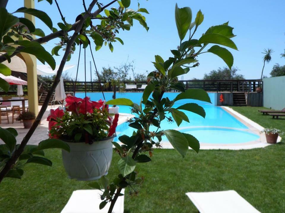 Hawaii Guest house Pelekas